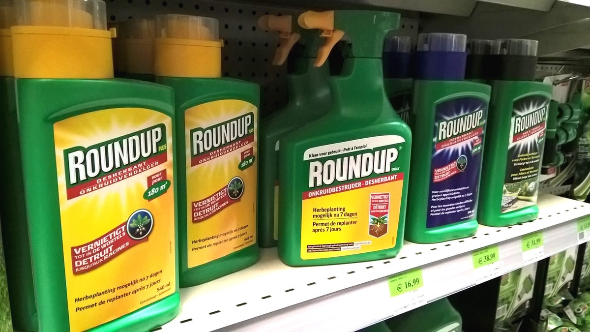 Warum strebt Bayer in den USA Straffreiheit wegen Glyphosat an?