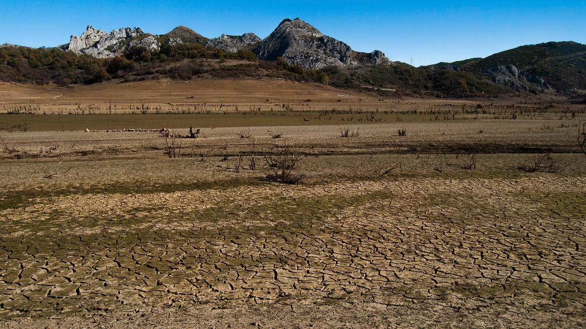 'Biodiversity loss, extreme weather and water scarcity' is Europe's future, report warns