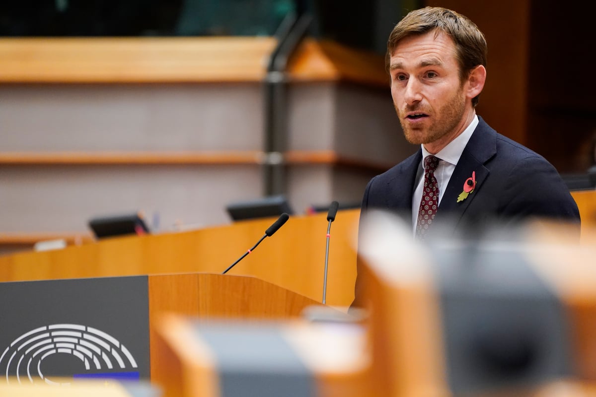 Parliament to expand NGO-funding probe to think-tanks and consultancies, says MEP